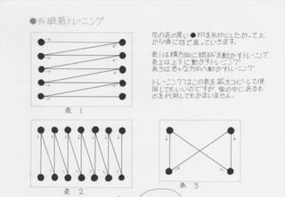 外眼筋小.jpg